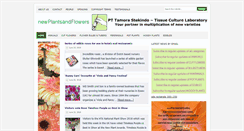 Desktop Screenshot of newplantsandflowers.com